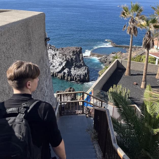 Simonas Petkevicius - Founder of LingLea